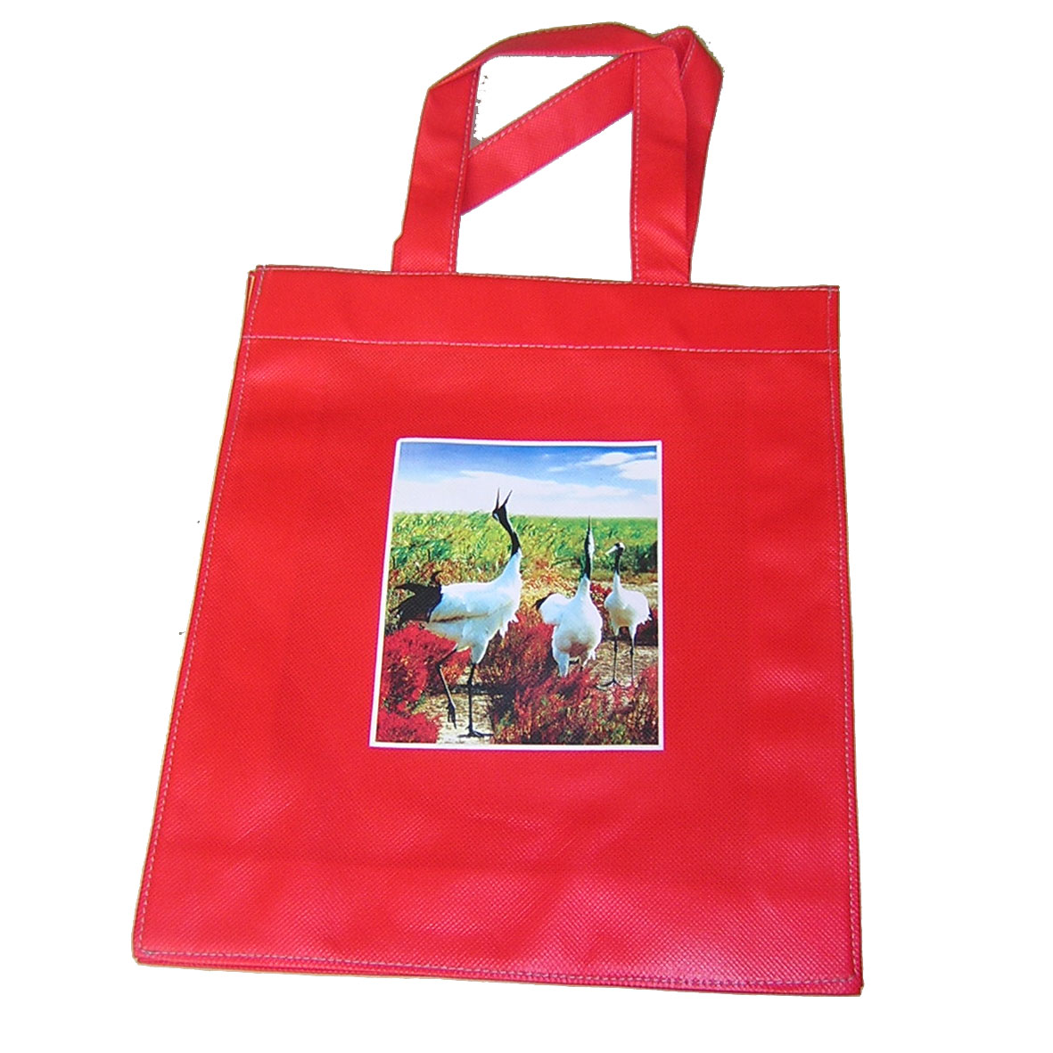 PZBNW-26 Non-Woven tote bag